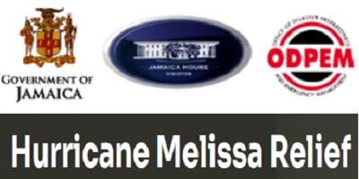 Support Jamaica- Donate and Volunteer